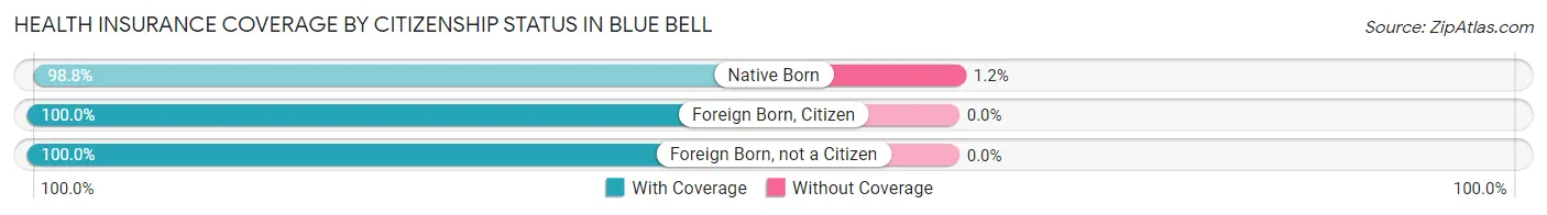 Health Insurance Coverage by Citizenship Status in Blue Bell
