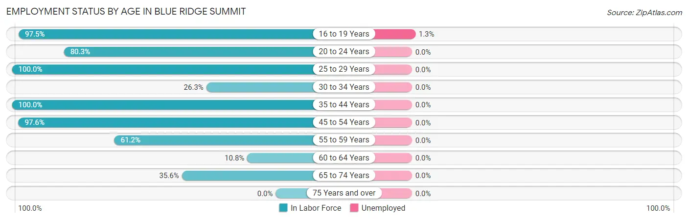 Employment Status by Age in Blue Ridge Summit