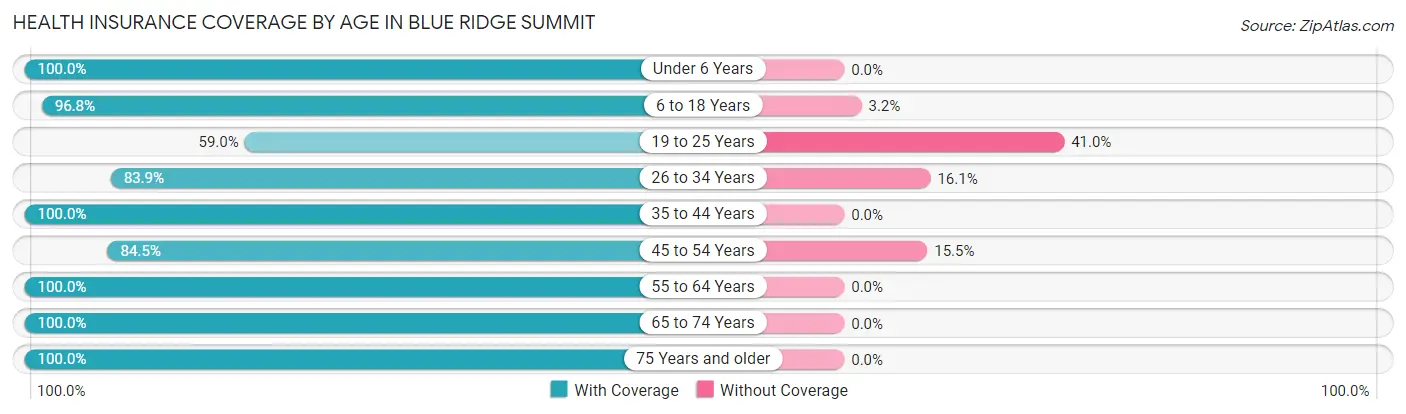 Health Insurance Coverage by Age in Blue Ridge Summit