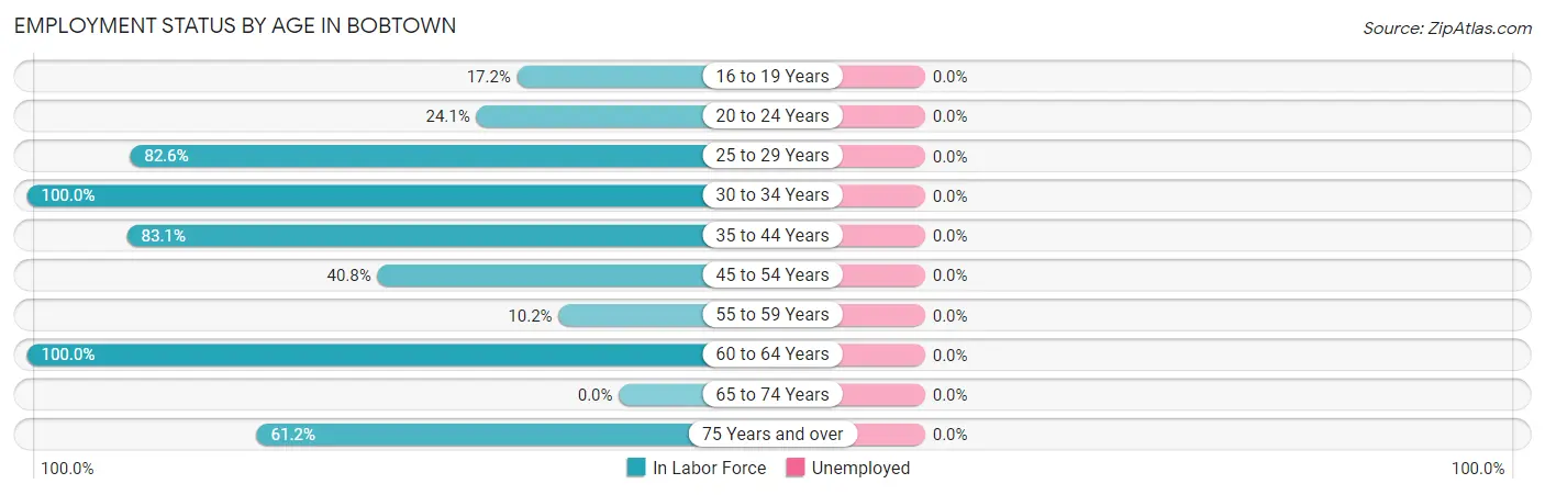 Employment Status by Age in Bobtown