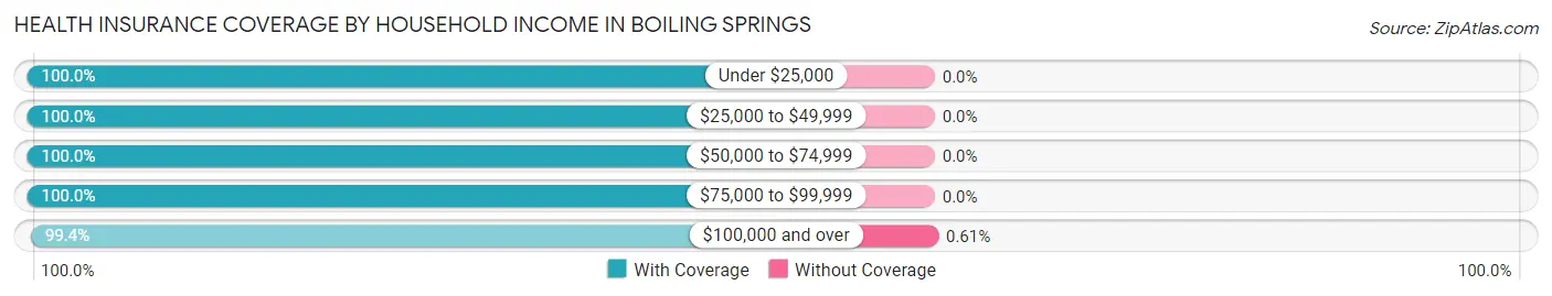 Health Insurance Coverage by Household Income in Boiling Springs