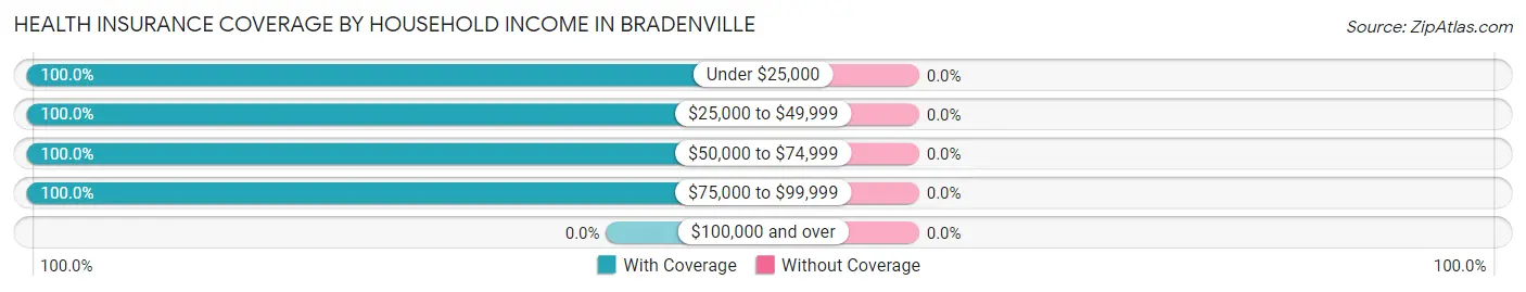 Health Insurance Coverage by Household Income in Bradenville