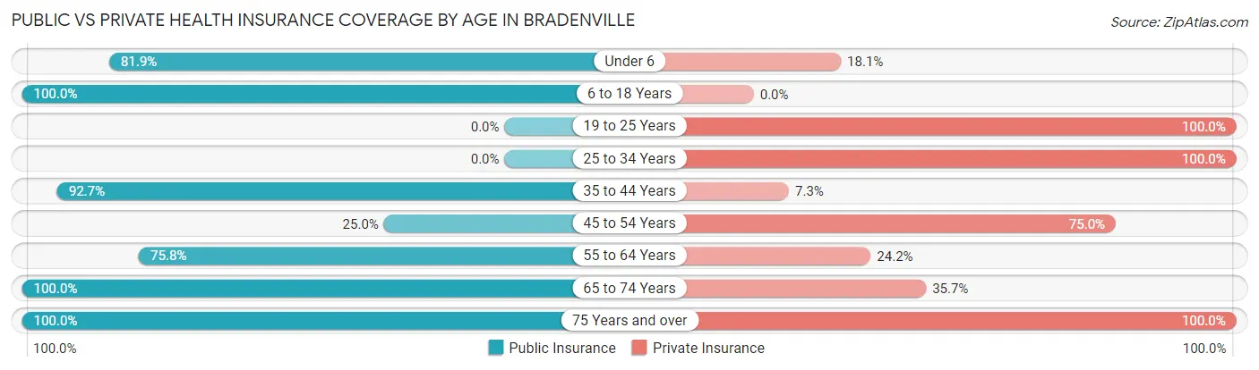 Public vs Private Health Insurance Coverage by Age in Bradenville