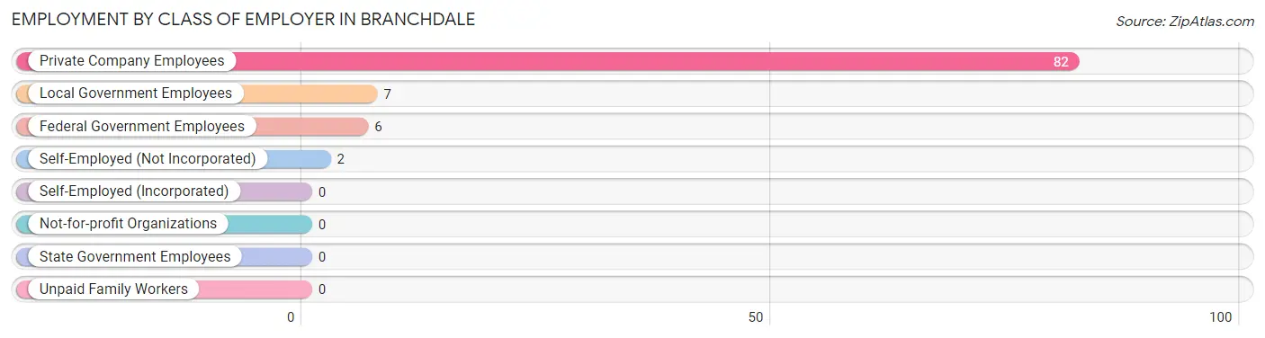 Employment by Class of Employer in Branchdale