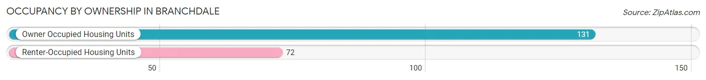 Occupancy by Ownership in Branchdale