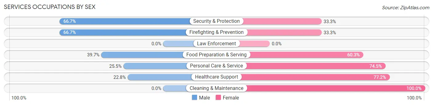 Services Occupations by Sex in Bridgeville borough
