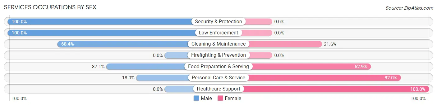 Services Occupations by Sex in Brockway borough