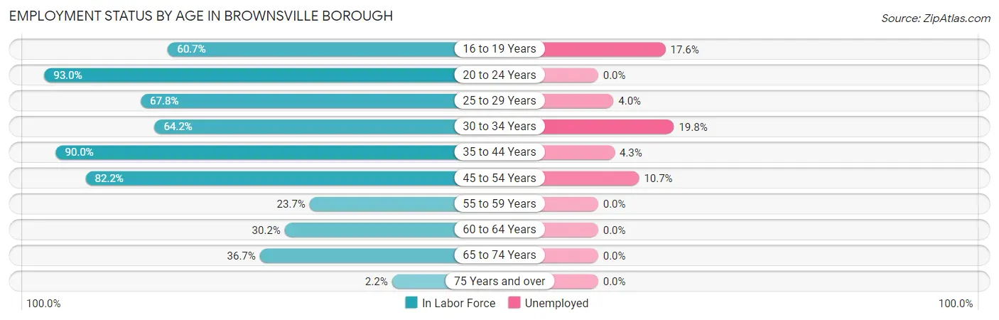 Employment Status by Age in Brownsville borough