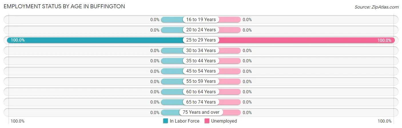 Employment Status by Age in Buffington