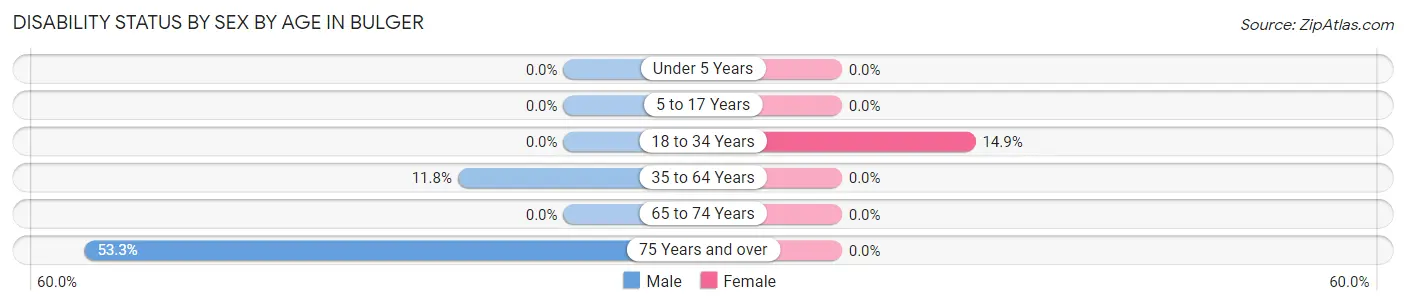 Disability Status by Sex by Age in Bulger