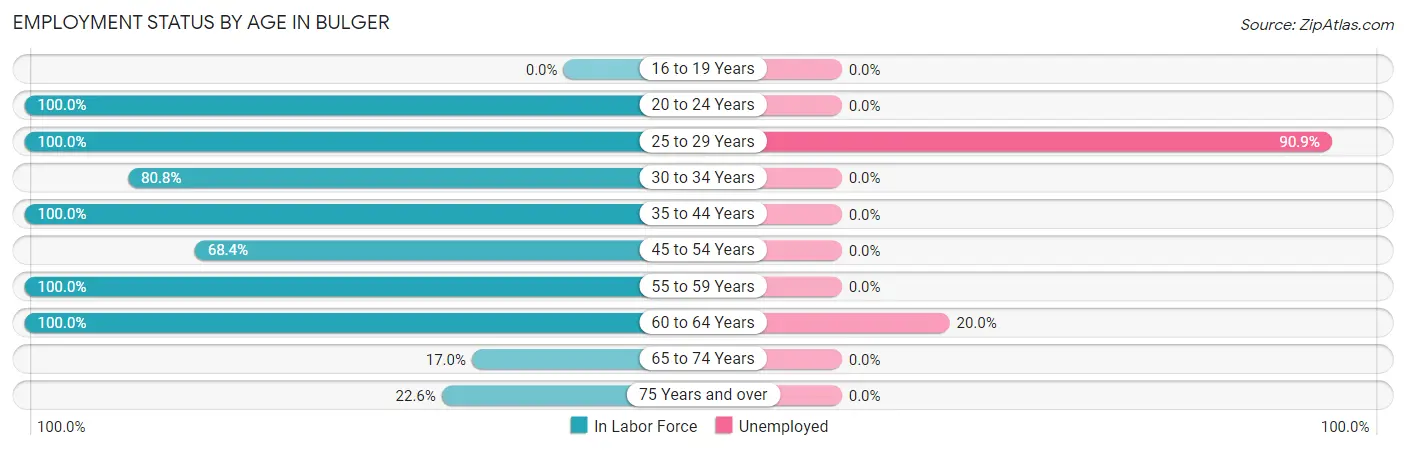 Employment Status by Age in Bulger
