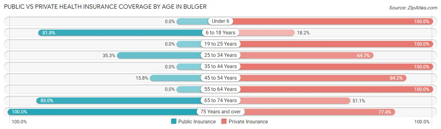 Public vs Private Health Insurance Coverage by Age in Bulger