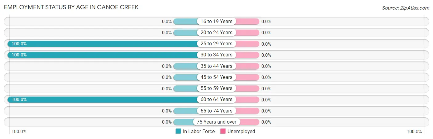 Employment Status by Age in Canoe Creek