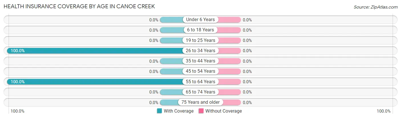Health Insurance Coverage by Age in Canoe Creek