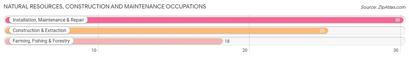 Natural Resources, Construction and Maintenance Occupations in Canton borough