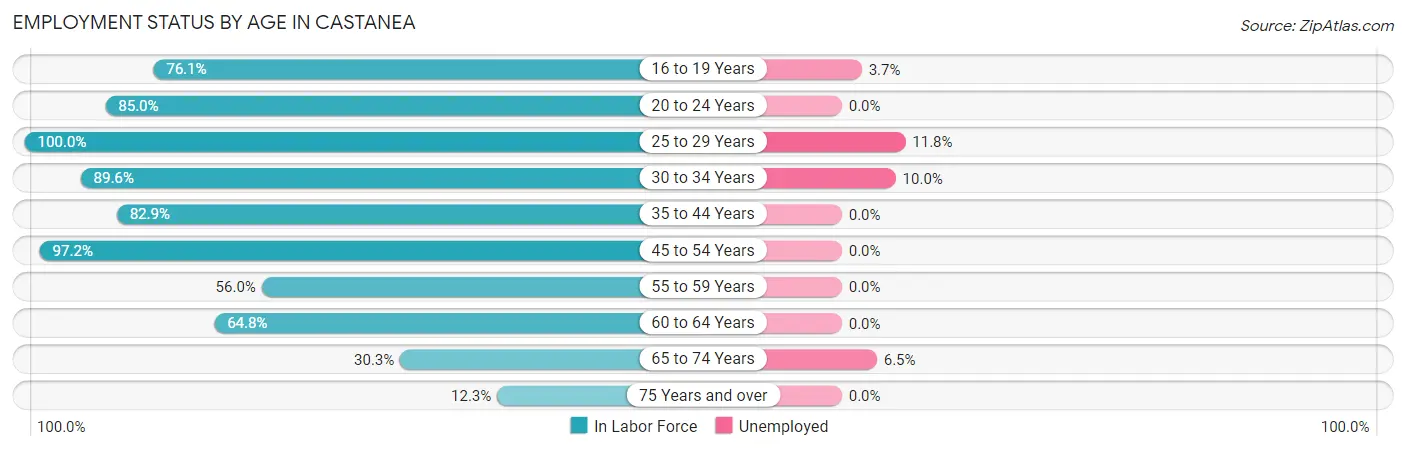 Employment Status by Age in Castanea