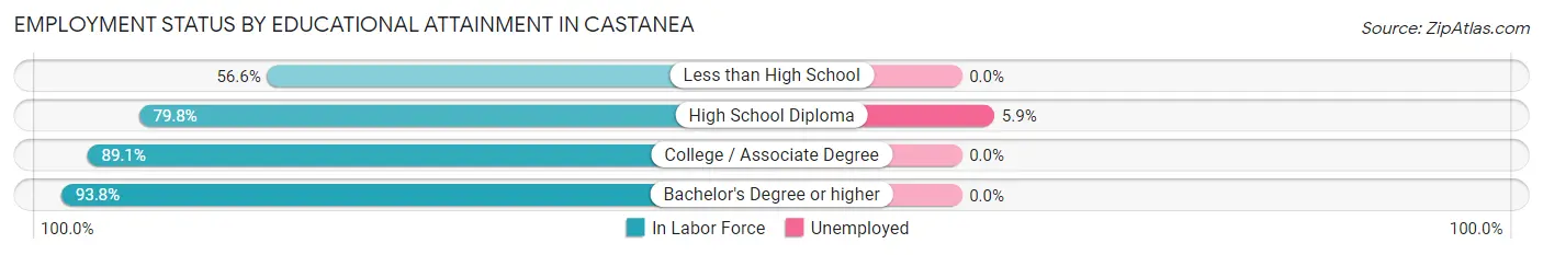 Employment Status by Educational Attainment in Castanea