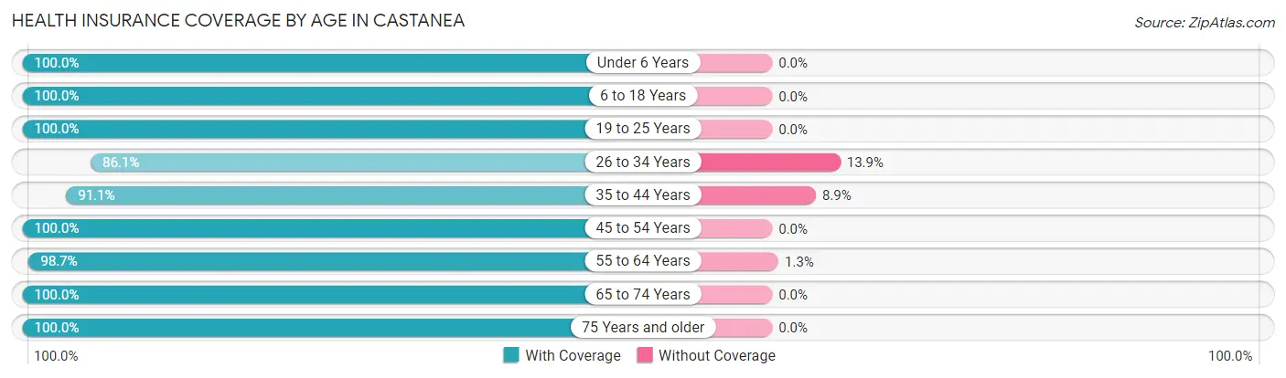 Health Insurance Coverage by Age in Castanea