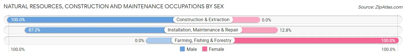 Natural Resources, Construction and Maintenance Occupations by Sex in Castanea