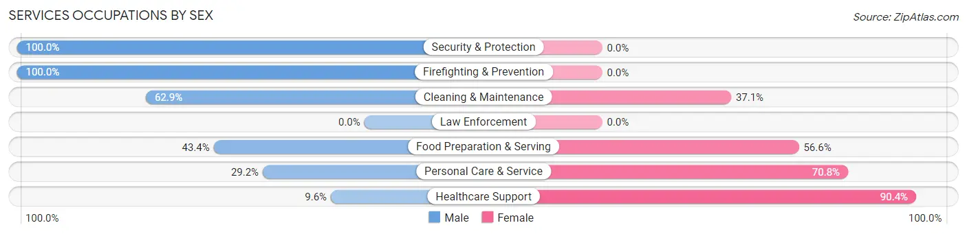 Services Occupations by Sex in Catasauqua borough