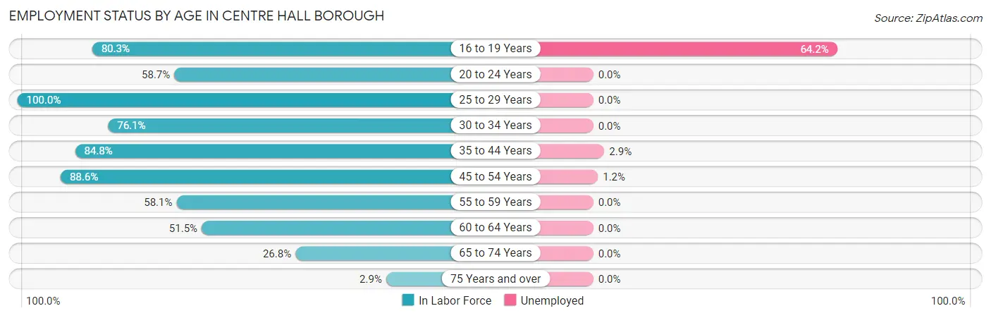 Employment Status by Age in Centre Hall borough