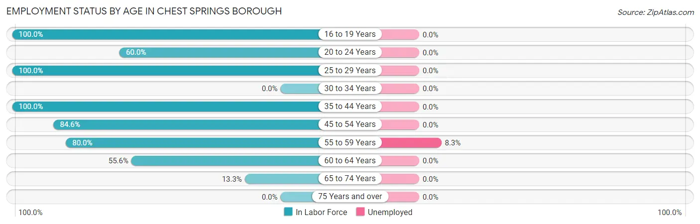 Employment Status by Age in Chest Springs borough