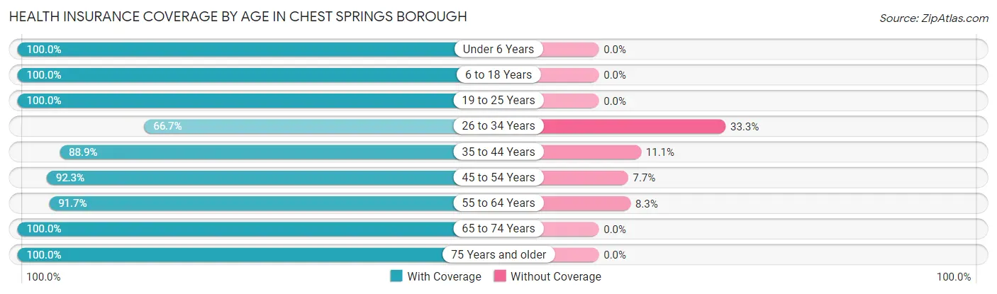 Health Insurance Coverage by Age in Chest Springs borough