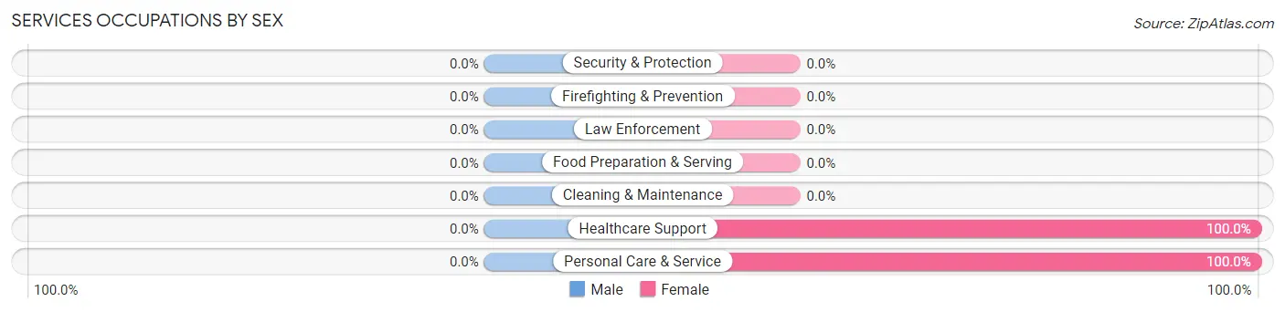 Services Occupations by Sex in Chest Springs borough
