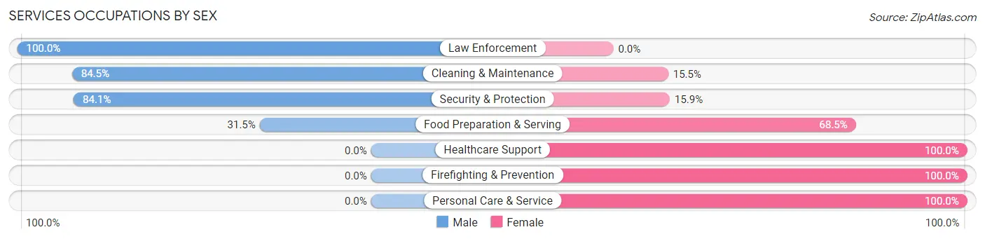 Services Occupations by Sex in Chestnut Hill