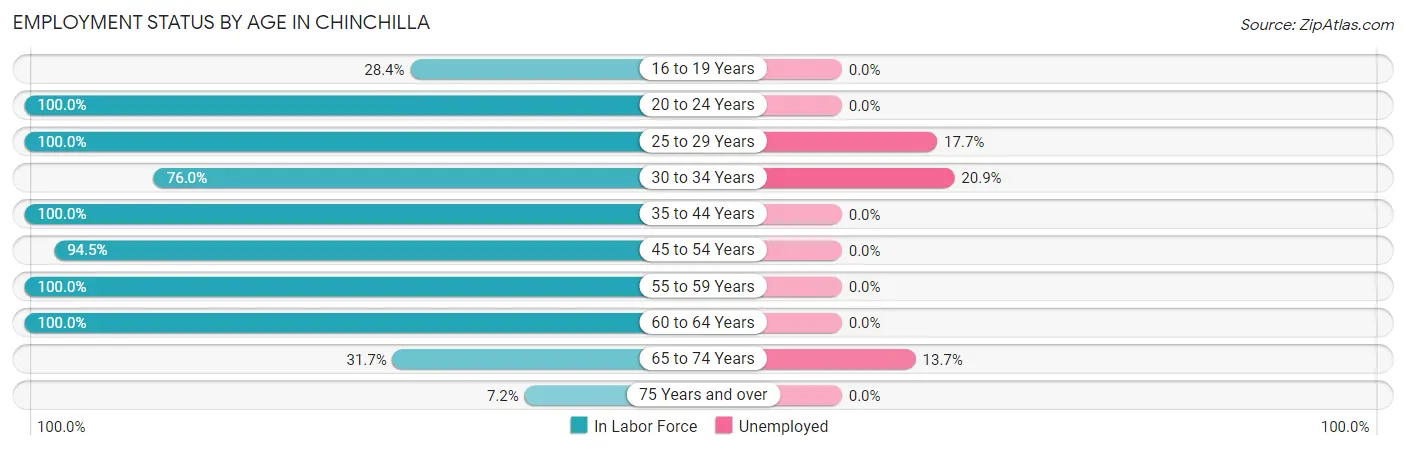Employment Status by Age in Chinchilla