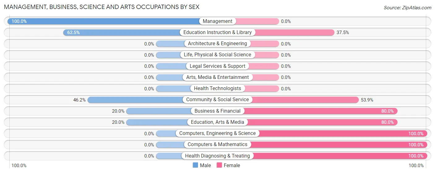 Management, Business, Science and Arts Occupations by Sex in Clarendon borough