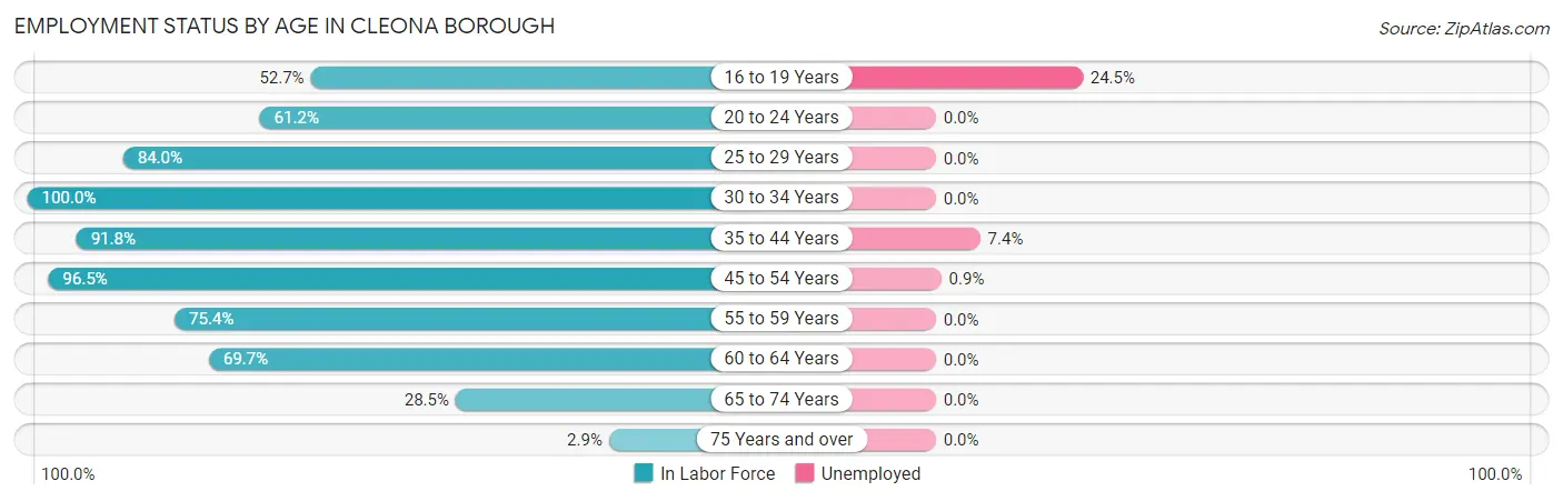 Employment Status by Age in Cleona borough
