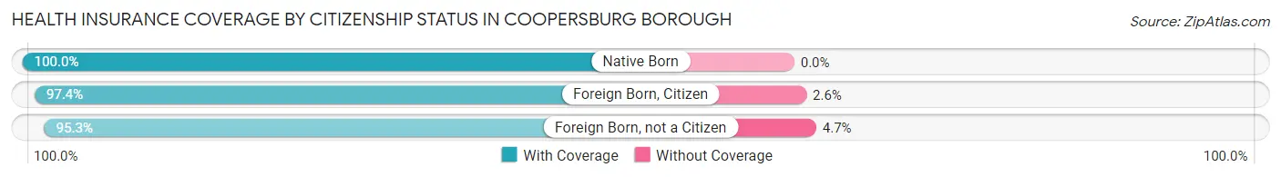 Health Insurance Coverage by Citizenship Status in Coopersburg borough