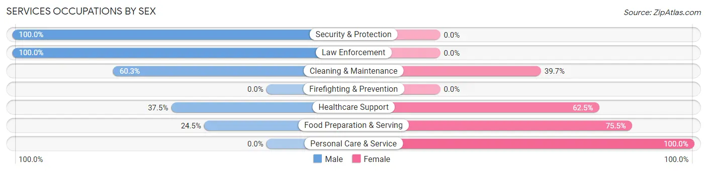 Services Occupations by Sex in Coopersburg borough