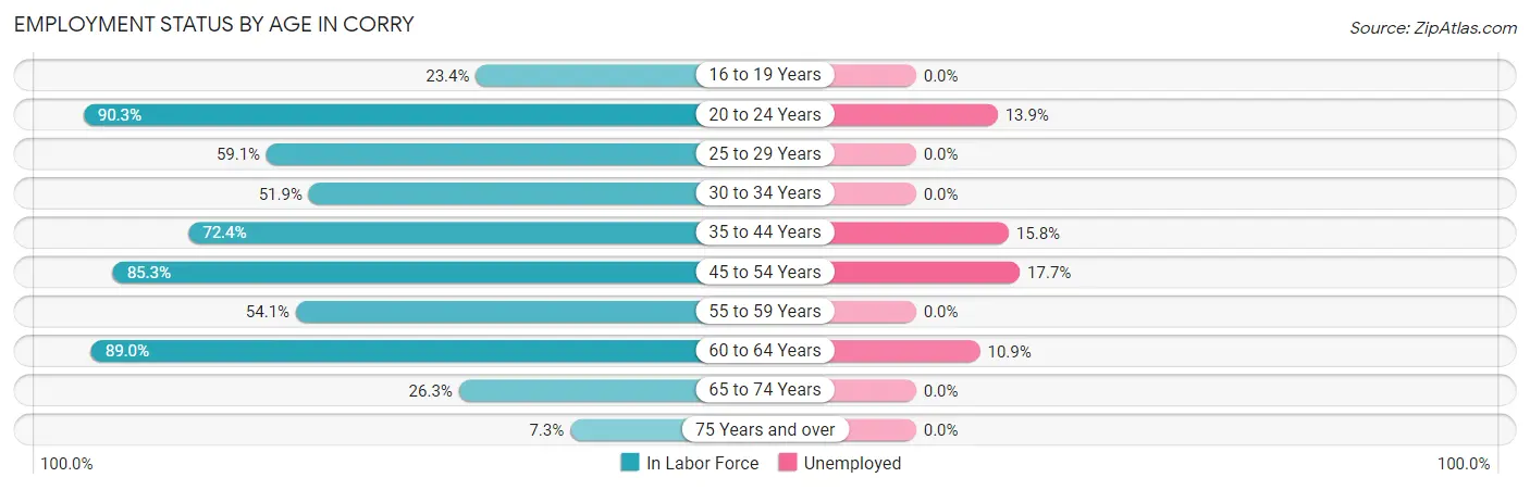 Employment Status by Age in Corry