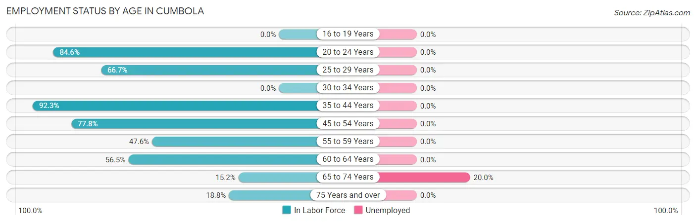 Employment Status by Age in Cumbola