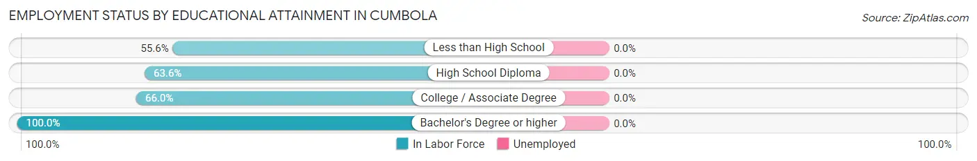 Employment Status by Educational Attainment in Cumbola