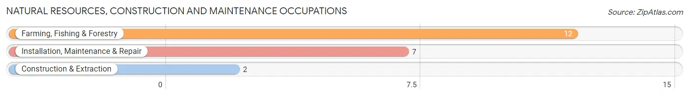 Natural Resources, Construction and Maintenance Occupations in Defiance