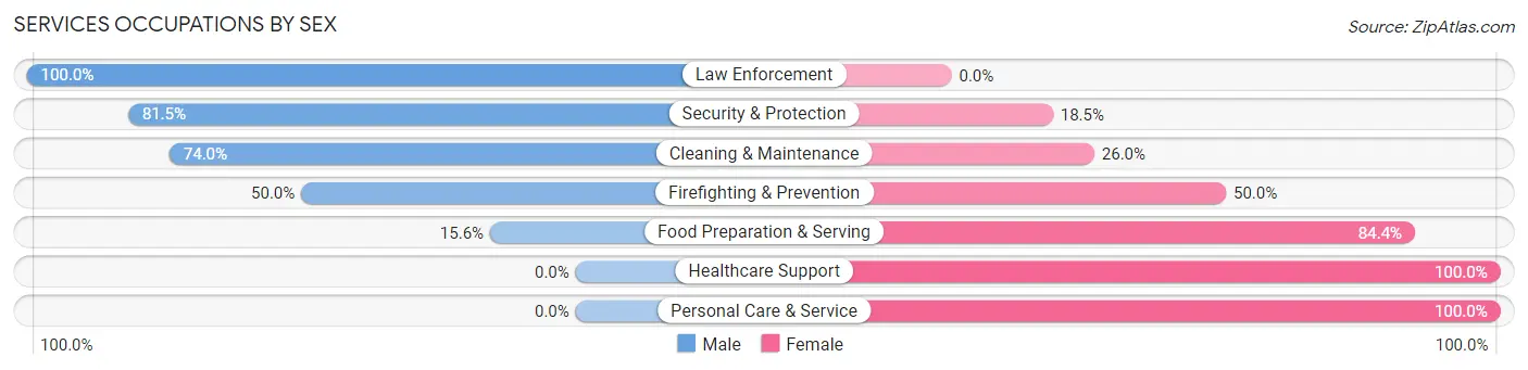 Services Occupations by Sex in Denver borough