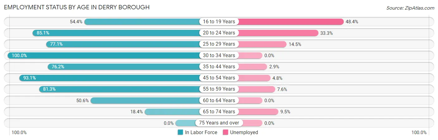 Employment Status by Age in Derry borough