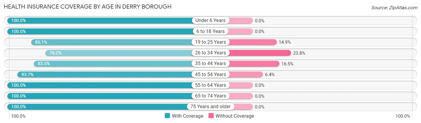 Health Insurance Coverage by Age in Derry borough