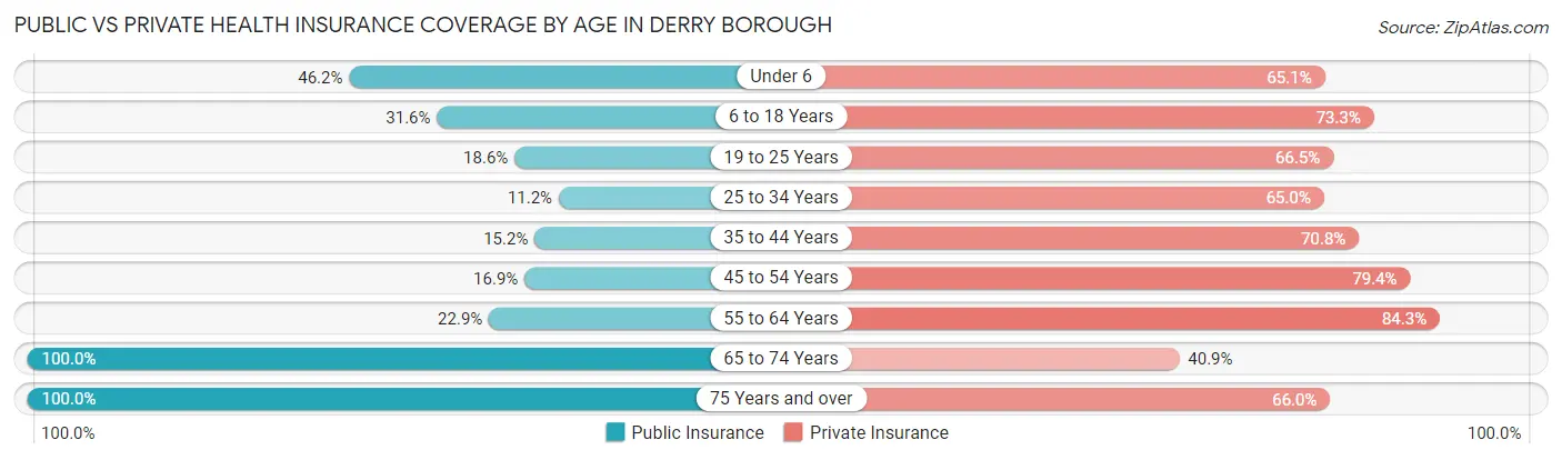 Public vs Private Health Insurance Coverage by Age in Derry borough