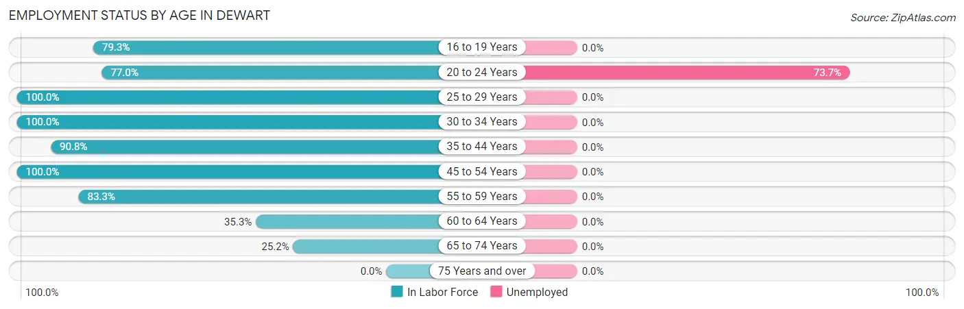 Employment Status by Age in Dewart