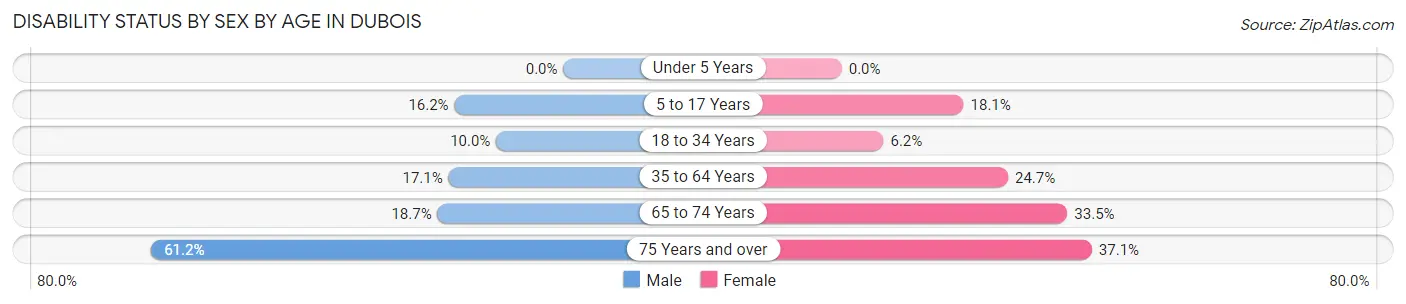 Disability Status by Sex by Age in DuBois