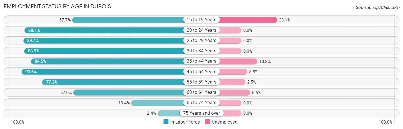 Employment Status by Age in DuBois