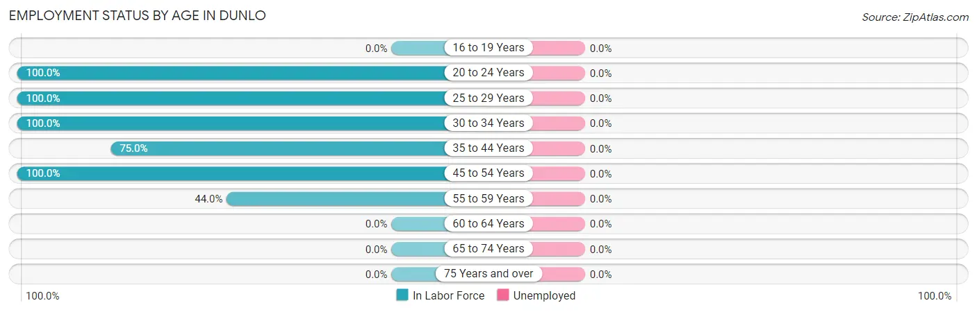 Employment Status by Age in Dunlo