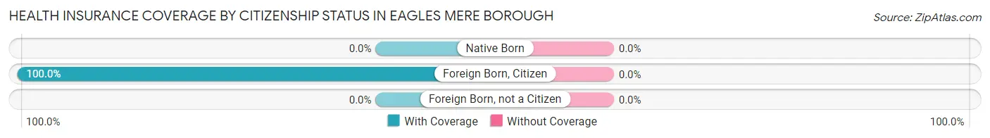 Health Insurance Coverage by Citizenship Status in Eagles Mere borough