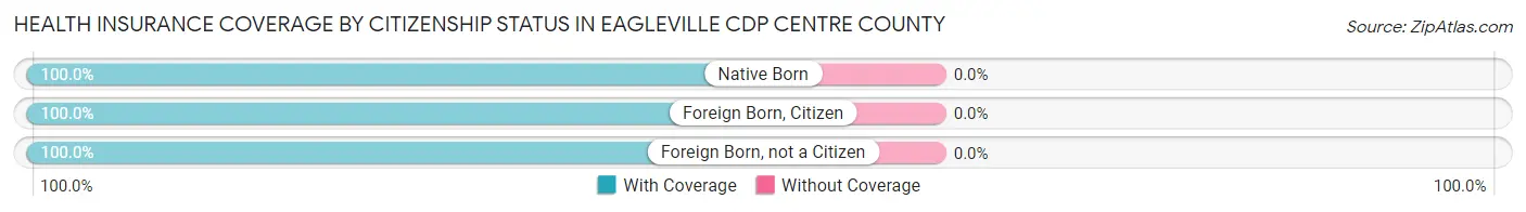 Health Insurance Coverage by Citizenship Status in Eagleville CDP Centre County