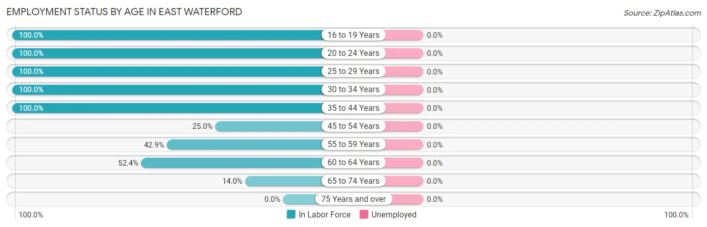 Employment Status by Age in East Waterford