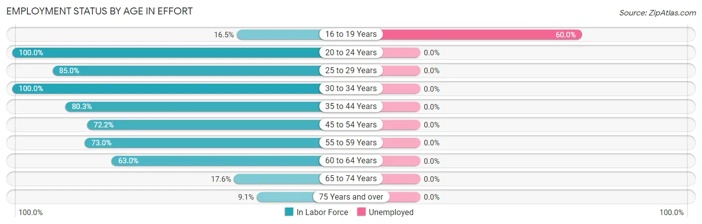 Employment Status by Age in Effort